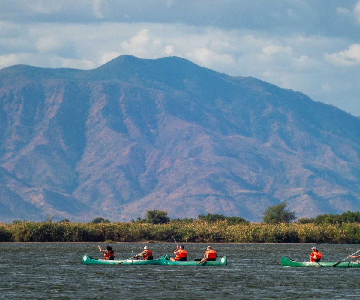 Caneo Safari (1) Caneo Safari (1)