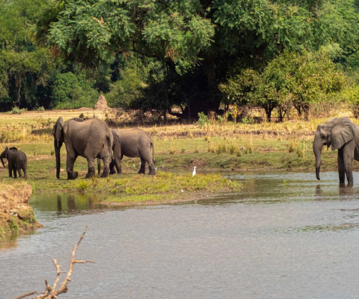 Photographic Tours 01 Photographic Tours 01